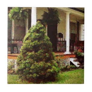 Carreau En Céramique Porte avant