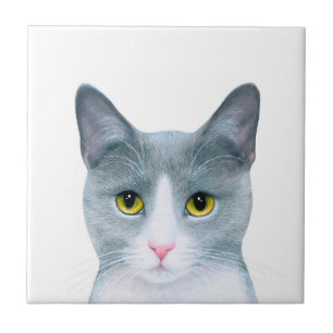 Carreau En Céramique Portrait de chat gris 611