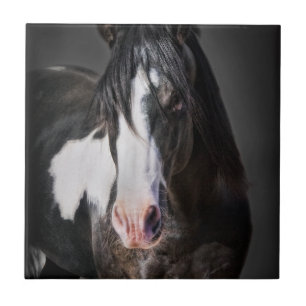 Carreau En Céramique Portrait de cheval II