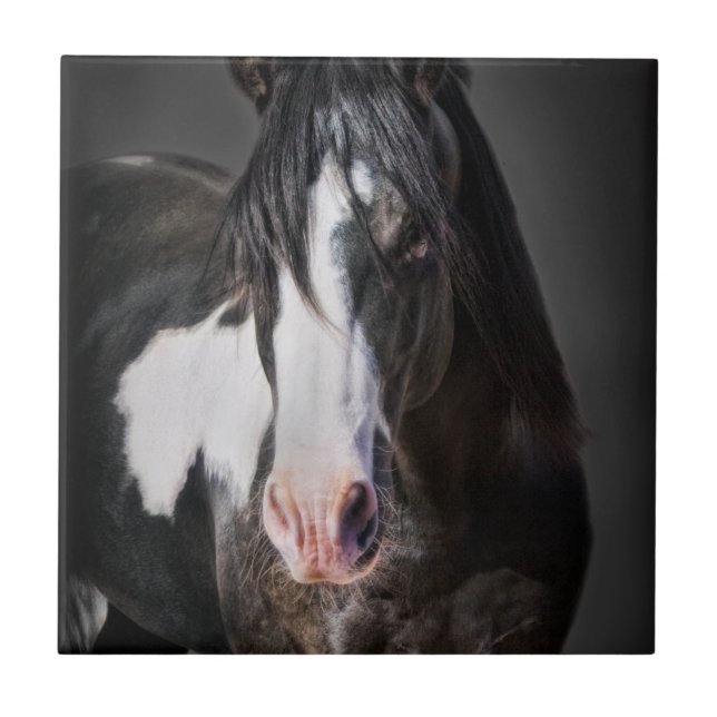 Carreau En Céramique Portrait de cheval II (Devant)