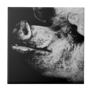 Carreau En Céramique portrait de cochon