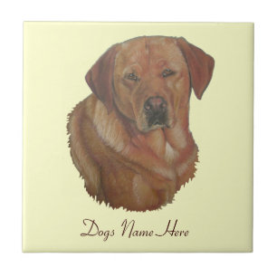 Carreau En Céramique portrait du chien de repérage du labrador rouge ra