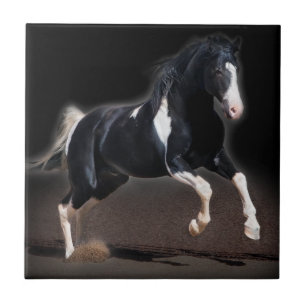Carreau En Céramique Portrait VIII de cheval