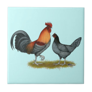 Carreau En Céramique Poule bleue du Delaware