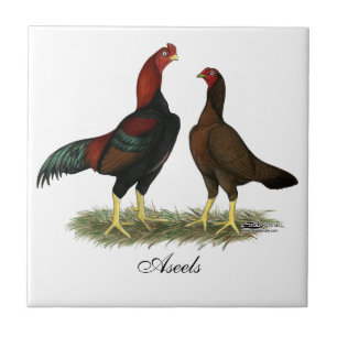 Carreau En Céramique Poules Aseel Black Red