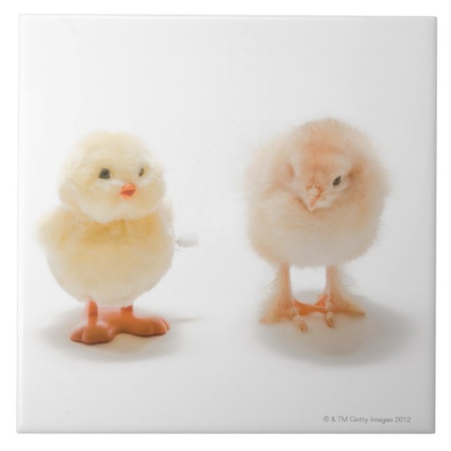 Carreau En Céramique Poulet de bébé et faux poulet mécanique (Devant)