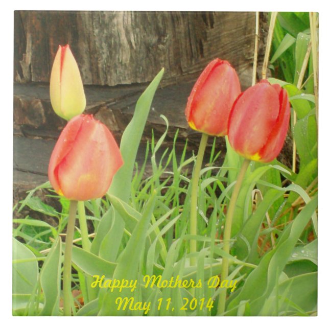 Carreau En Céramique Printemps 2 Mois Jour Tile (Devant)