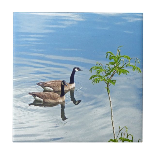Carreau En Céramique Profiter d'une baignade (Devant)