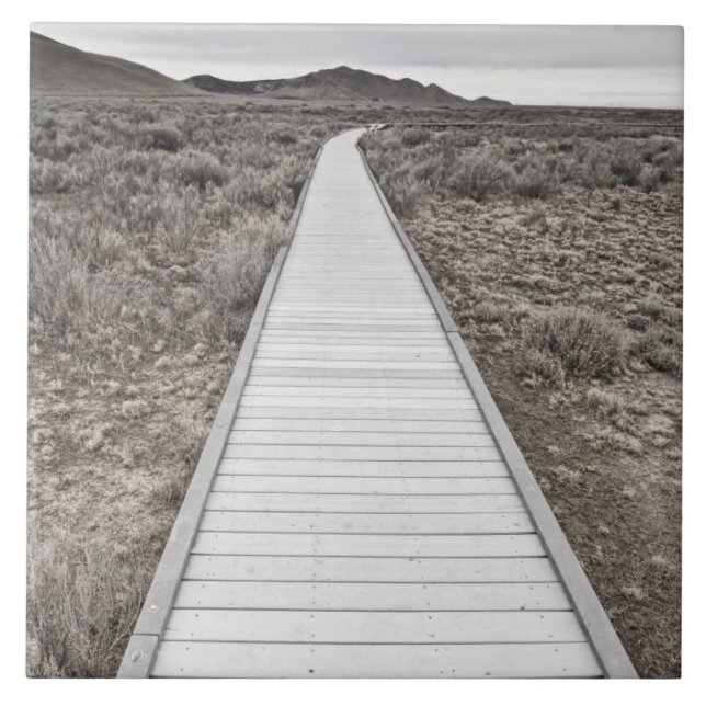Carreau En Céramique Promenade par le désert (Devant)