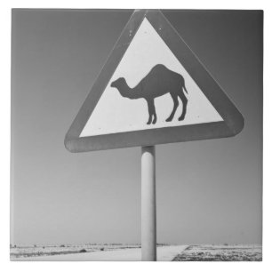 Carreau En Céramique Qatar, Al Zubarah. Panneau de signalisation de tra