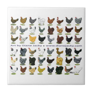 Carreau En Céramique Quarante-huit promos de poule