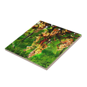 Carreau En Céramique Raisins accrochants sur les vignes