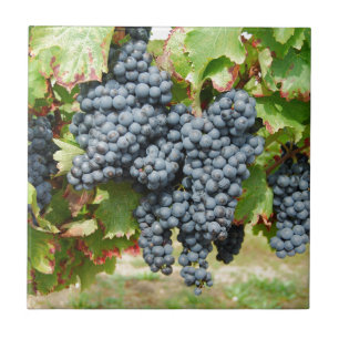 Carreau En Céramique Raisins de vin français
