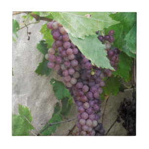 Carreau En Céramique Raisins pourpres sur la vigne