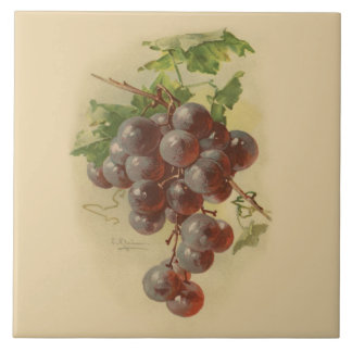 Carreau En Céramique Raisins vintages