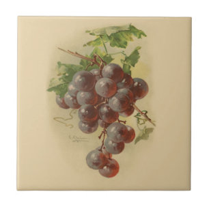 Carreau En Céramique Raisins vintages