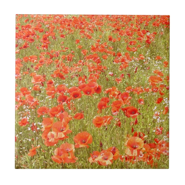 CARREAU EN CÉRAMIQUE RAPPELEZ-VOUS MOI TUILE (Devant)