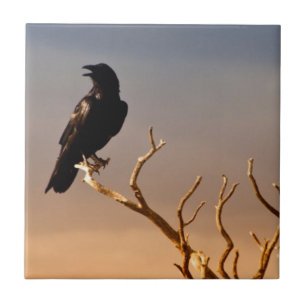 Carreau En Céramique Raven sur les branches d'arbre ensoleillées,