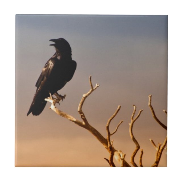 Carreau En Céramique Raven sur les branches d'arbre ensoleillées, (Devant)