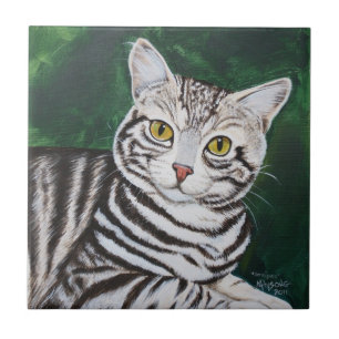 Carreau En Céramique Rayures, chat tigré