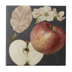 Carreau En Céramique Récolte de minuit II