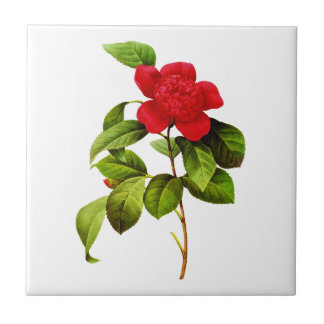 Carreau En Céramique Red Camellia par Pierre Joseph Redoute