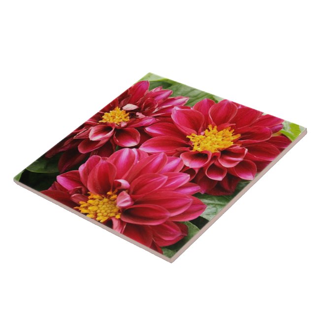 Carreau En Céramique Red Dahlias (Côté)