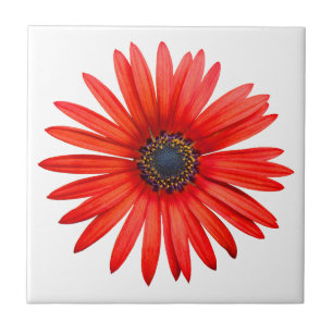 Carreau En Céramique Red Devil