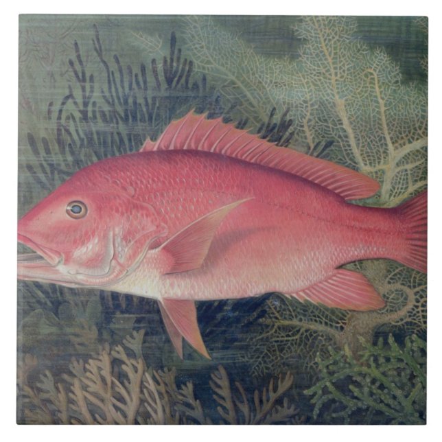 Carreau En Céramique Red Snapper, de 'Game Fishes of the United State (Devant)