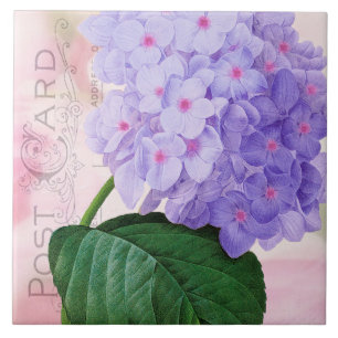 Carreau En Céramique Redoute French Purple Hydrangea Carrelage en céram