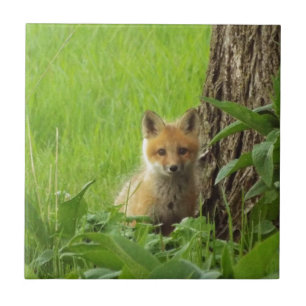 Carreau En Céramique Renard mignon de bébé en photographie de printem