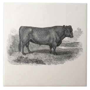 Carreau En Céramique Rétros taureaux de vache de 1800s à illustration