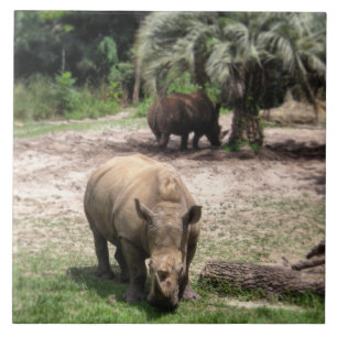 Carreau En Céramique Rhinocéros sur la tuile de photo de safari