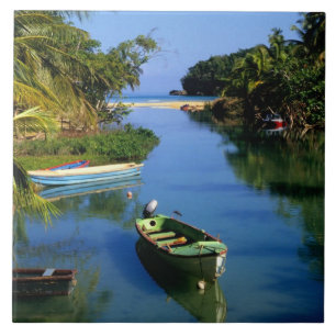 Carreau En Céramique Rivière panoramique près d'Ocho Rios en Jamaïque