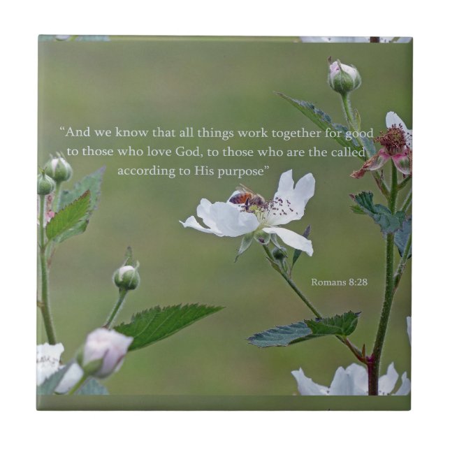 Carreau En Céramique Romains 8:28 (Devant)