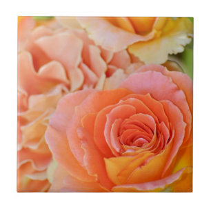 Carreau En Céramique Rose à thé hybride orange
