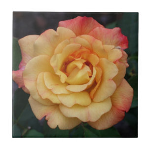 Carreau En Céramique Rose Beautiful Pink and Yellow Floral