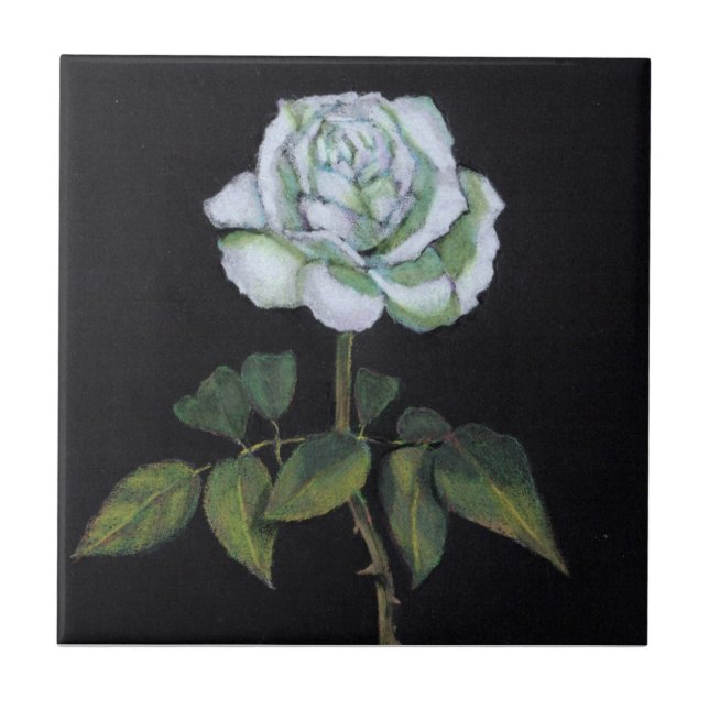Carreau En Céramique Rose blanc sur l'arrière - plan noir : Crayon de (Devant)