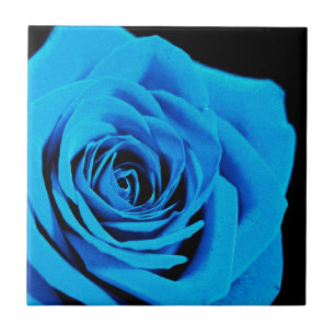 Carreau En Céramique Rose bleu