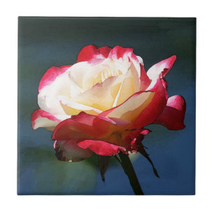 Carreau En Céramique Rose de thé hybride de "double plaisir"