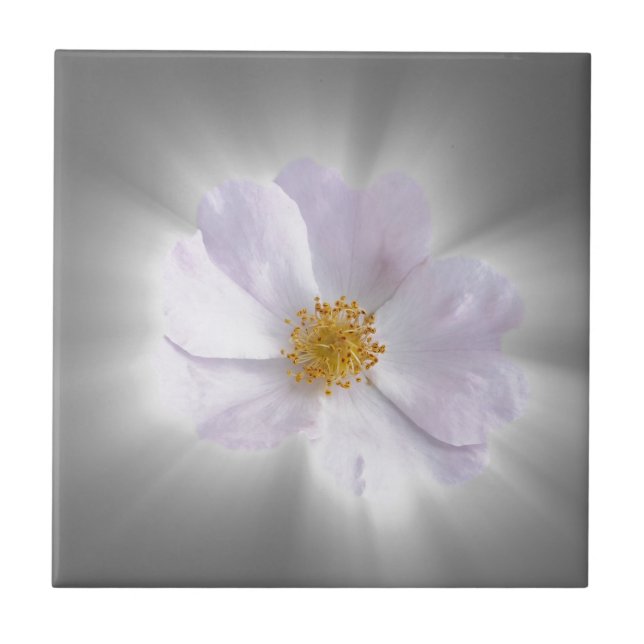 Carreau En Céramique rose et gris (Devant)