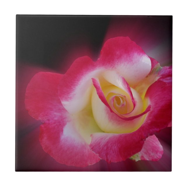 Carreau En Céramique rose jaune (Devant)