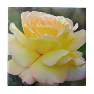Carreau En Céramique rose jaune simple
