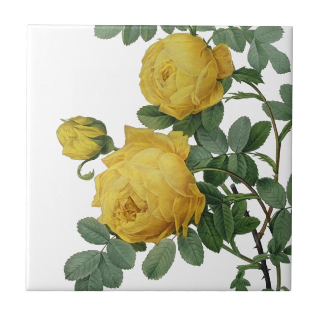 Carreau En Céramique rose jaune vintage (Devant)