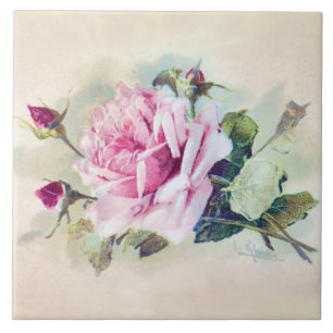 Carreau En Céramique Rose rose élégante aux roses