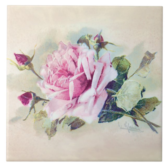 Carreau En Céramique Rose rose élégante aux roses (Devant)