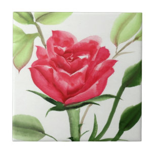 Carreau En Céramique Rose rouge