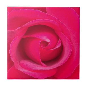 Carreau En Céramique Rose rouge romantique