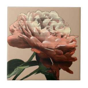 Carreau En Céramique Rose rouge rouge avec les accents blancs