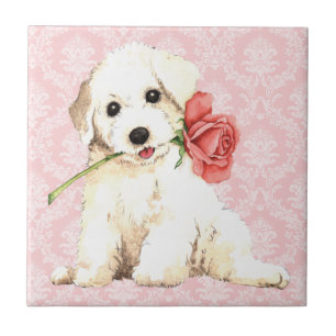 Carreau En Céramique Rose Valentine Bichon